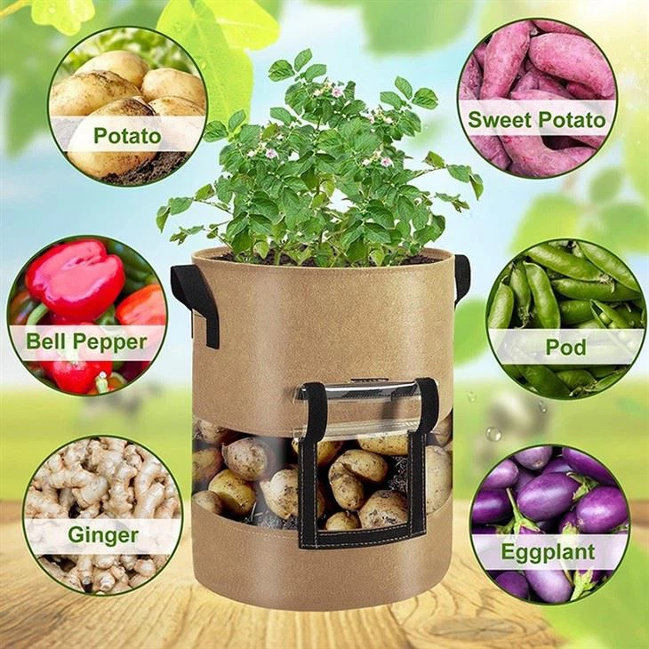 Custom Potatoes Felt Growing Bags with Handles (2)