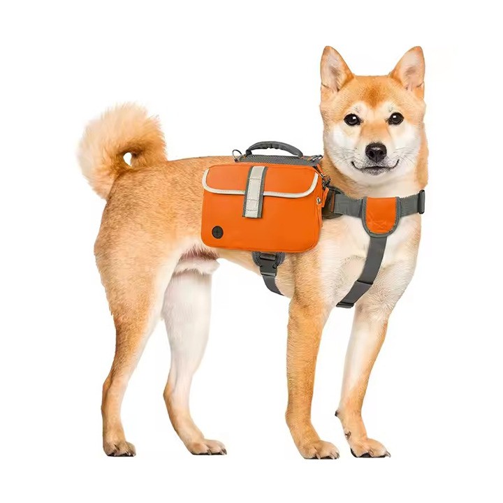 Koiran reppu laukku